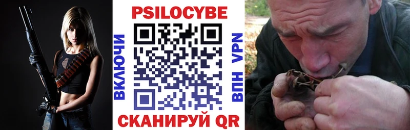 Галлюциногенные грибы Psilocybine cubensis  закладка  Гай 