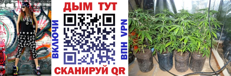 Бошки Шишки планчик  mega зеркало  Гай 